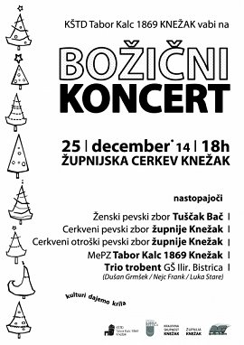 bozicni_koncert_2014_cb (1).jpg