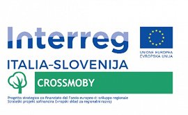 Logo_CROSSMOBY