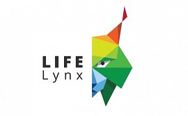 Lynx.jpg
